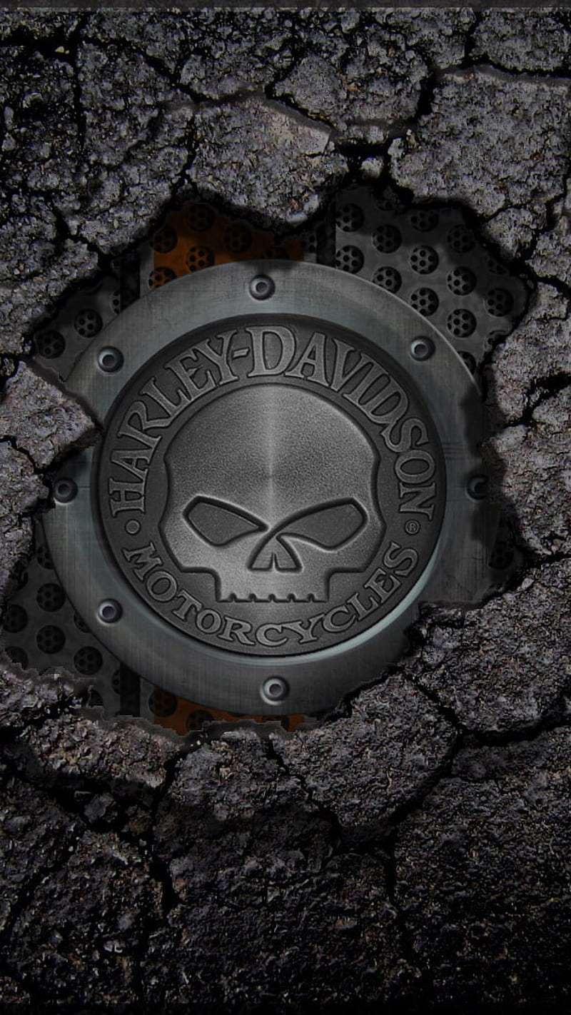 Harley Davidson Motorcycle Asphalt Hole , Bikes â¢ For You, HD phone wallpaper